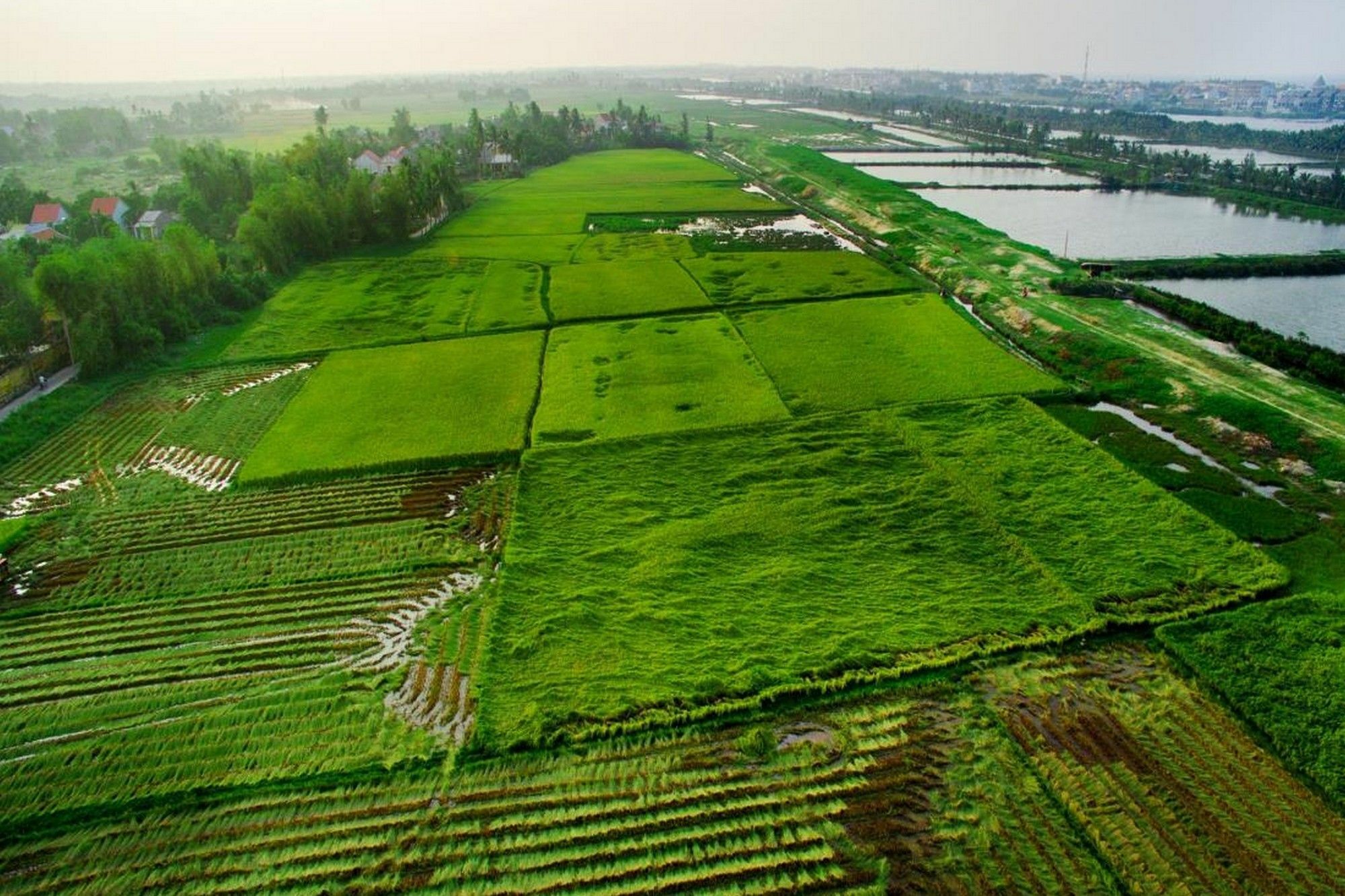 Thinh Vuong Homestay Хоян Екстер'єр фото